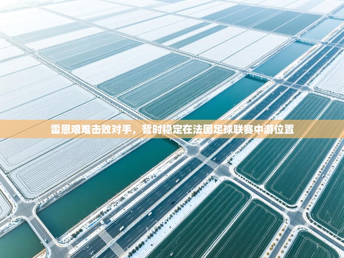 雷恩艰难击败对手,暂时稳定在法国足球联赛中游位置 第2张